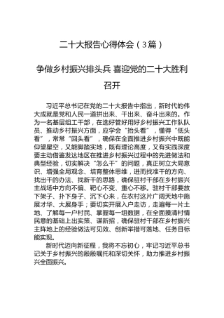 二十大报告心得体会（3篇）