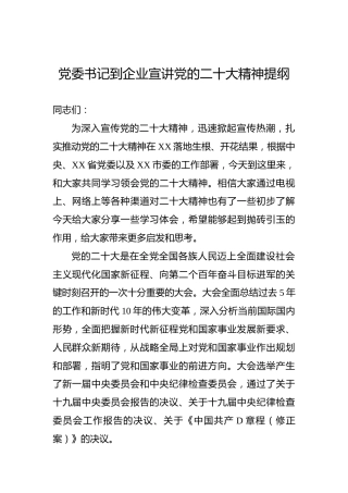 党委书记到企业宣讲党的二十大精神提纲（盛会）
