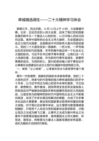 单城镇选调生——二十大精神学习体会（20221018）