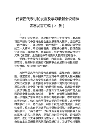 代表团代表讨论发言及学习最新会议精神表态发言汇编（21条）