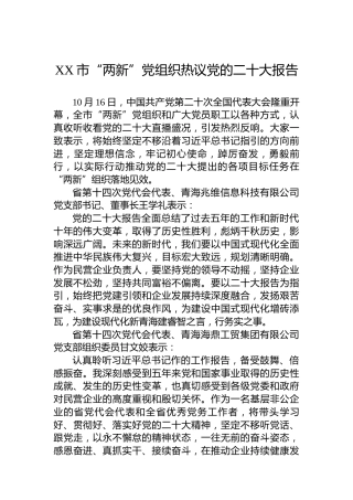 XX市“两新”党组织热议党的二十大报告（20221017）