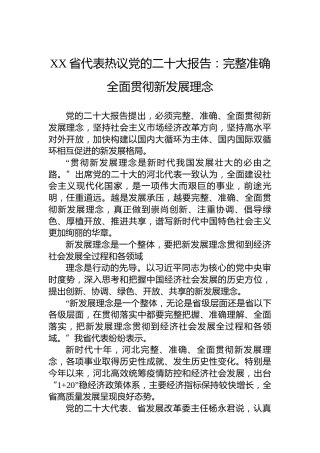 XX省代表热议党的二十大报告：完整准确全面贯彻新发展理念（20221017）