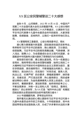XX区公安民警辅警谈二十大感想心得体会（20221019）
