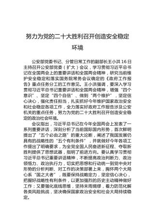 努力为党的二十大胜利召开创造安全稳定环境