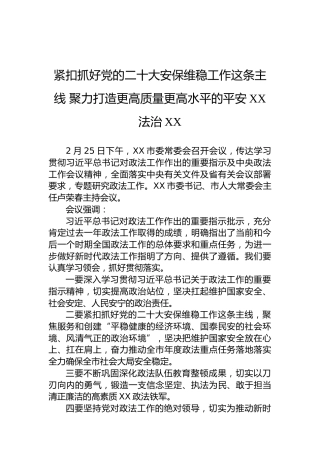紧扣抓好党的二十大安保维稳工作这条主线聚力打造更高质量更高水平的平安XX法治XX