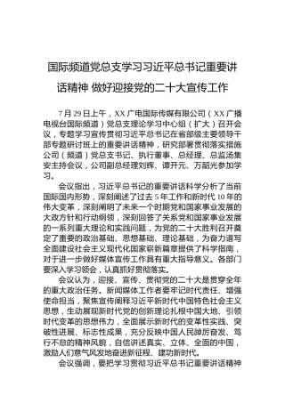 国际频道党总支学习习近平总书记重要讲话精神做好迎接党的二十大宣传工作（20220729）