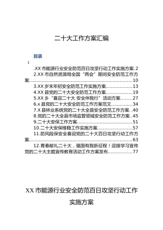 二十大工作方案汇编