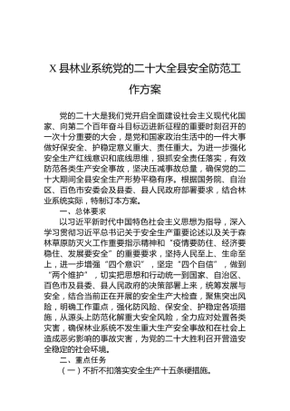 X县林业系统党的二十大全县安全防范工作方案（20220808）