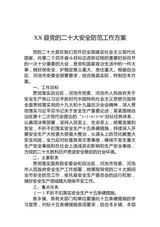 XX县党的二十大安全防范工作方案（20220719）