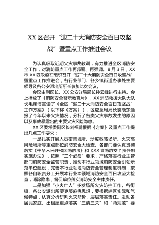 XX区召开“迎二十大消防安全百日攻坚战”暨重点工作推进会议（20220803）