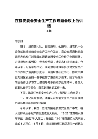 王轶：在县安委会安全生产工作专题会议上的讲话(1)
