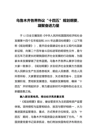 乌鲁木齐各界热议“十四五”规划纲要，凝聚奋进力量