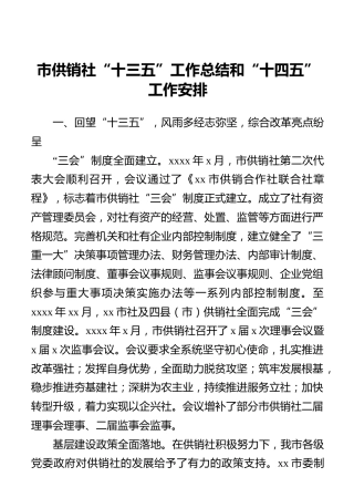 市供销社“十三五”工作总结和“十四五”工作安排