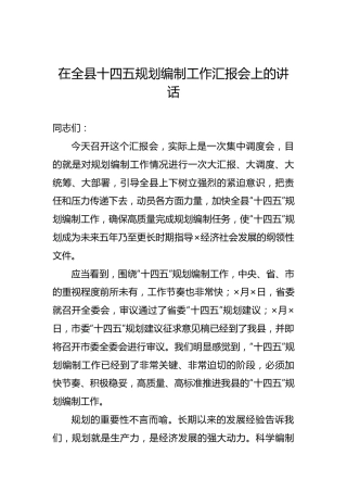 在全县十四五规划编制工作汇报会上的讲话(2)