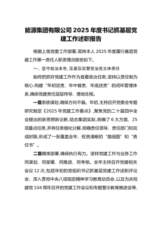 能源集团有限公司2025年度书记抓基层党建工作述职报告