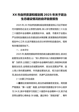 XX市自然资源和规划局2025年关于政治生态建设情况的自评自查报告