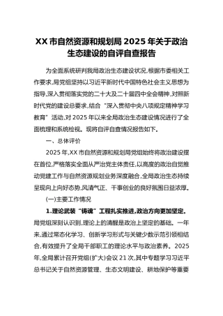 XX市自然资源和规划局2025年关于政治生态建设的自评自查报告