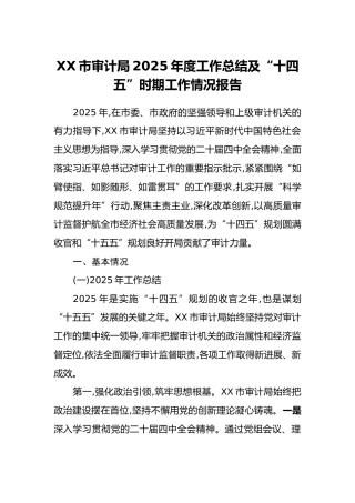 XX市审计局2025年度工作总结及“十四五”时期工作情况报告