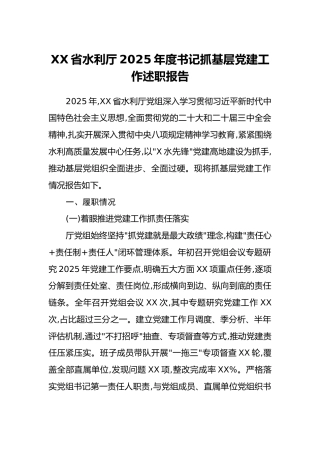 XX省水利厅2025年度书记抓基层党建工作述职报告