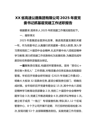 XX省高速公路集团有限公司2025年度党委书记抓基层党建工作述职报告