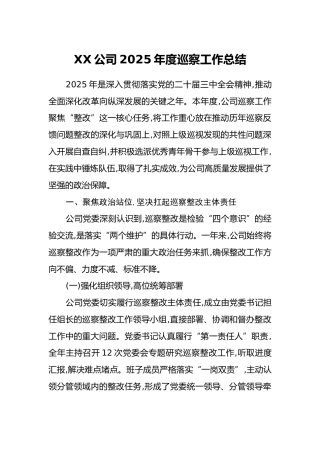 XX公司2025年度巡察工作总结
