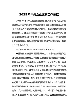 2025年中央企业巡察工作总结