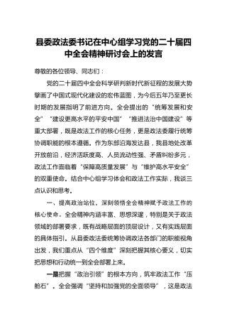 县委政法委书记在中心组学习党的二十届四中全会精神研讨会上的发言