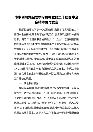 市水利局党组成学习贯彻党的二十届四中全会精神研讨发言
