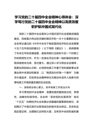 学习党的二十届四中全会精神心得体会：深学笃行党的二十届四中全会精神以高质效履职护航中国式现代化