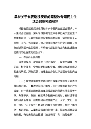 县长关于省委巡视反馈问题整改专题民主生活会对照检查材料