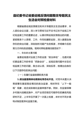 县纪委书记省委巡视反馈问题整改专题民主生活会对照检查材料