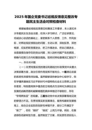 2025年国企党委书记巡视反馈意见整改专题民主生活会对照检查材料