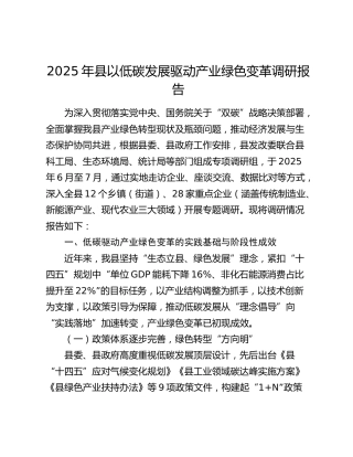 以低碳发展驱动产业绿色变革调研报告