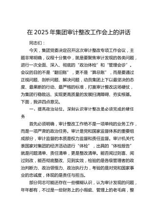 在2025年公司审计整改工作会上的讲话