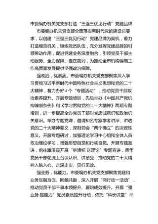 市委编办机关党支部打造“三强三优见行动”党建品牌