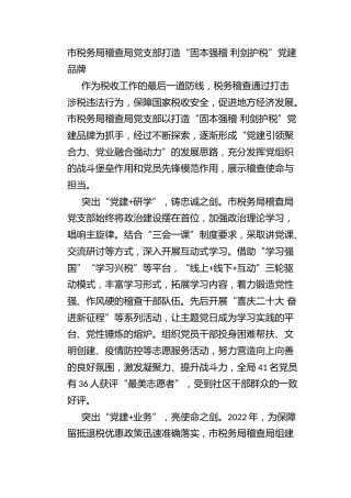 市税务局稽查局党支部打造“固本强稽 利剑护税”党建品牌