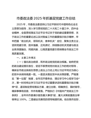 市委政法委2025年党建工作总结