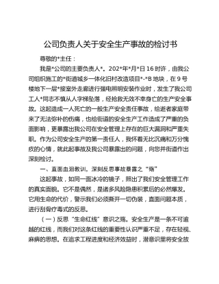 公司负责人安全生产事故检讨书