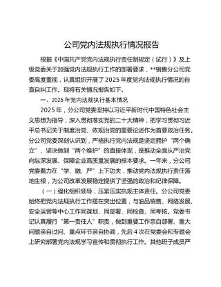公司党内法规执行情况报告