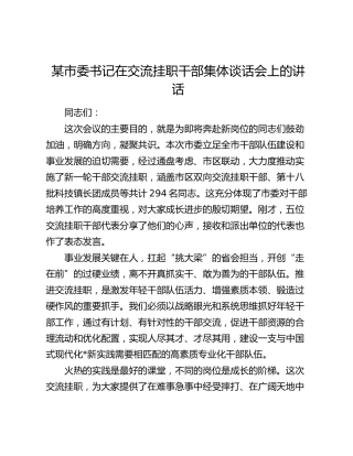 市委书记在交流挂职干部集体谈话会上的讲话