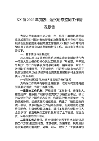 XX镇2025年度防止返贫动态监测工作情况报告