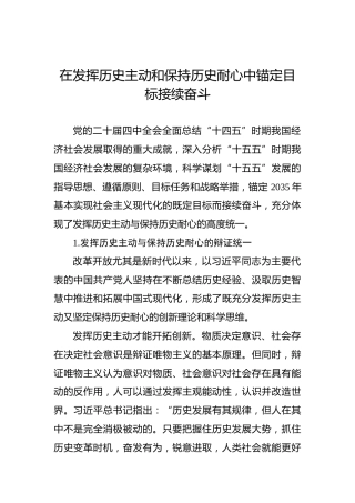 在发挥历史主动和保持历史耐心中锚定目标接续奋斗