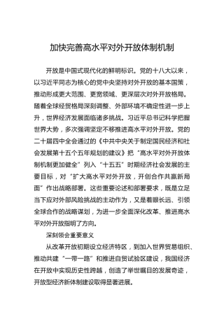 加快完善高水平对外开放体制机制
