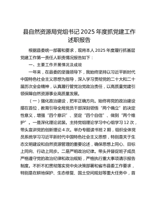 县自然资源局党组书记2025年度抓党建工作述职报告