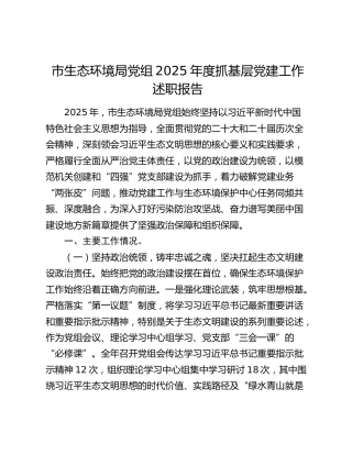 市生态环境局党组2025年度抓基层党建工作述职报告