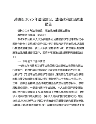 某镇长2025年法治建设、法治政府建设述法报告
