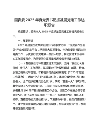 国资委2025年度党委书记抓基层党建工作述职报告