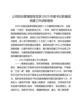 公司综合管理部党支部2025年度书记抓基层党建工作述职报告