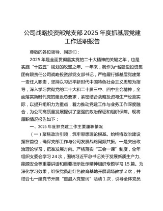 公司战略投资部党支部2025年度抓基层党建工作述职报告
