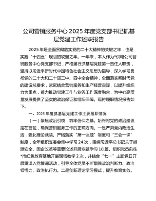 公司营销服务中心2025年度党支部书记抓基层党建工作述职报告